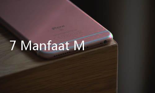 7 Manfaat Makan Buncis, Ada Efek Sampingnya Enggak?