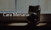 Cara Menanam Cabai yang Manjur Bisa Tumbuh Subur