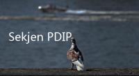 Sekjen PDIP, Hasto Kristiyanto Sindir Partai yang Sering Impor Bahan Pangan